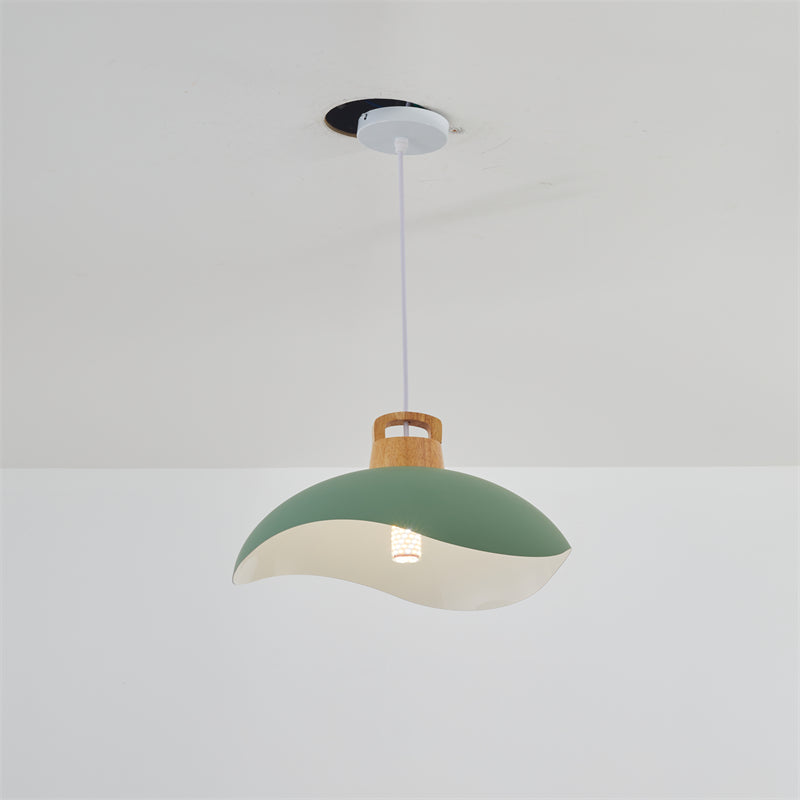 Noctara Vintage Pendant Light in Black Matte Metal - OpalDwell
