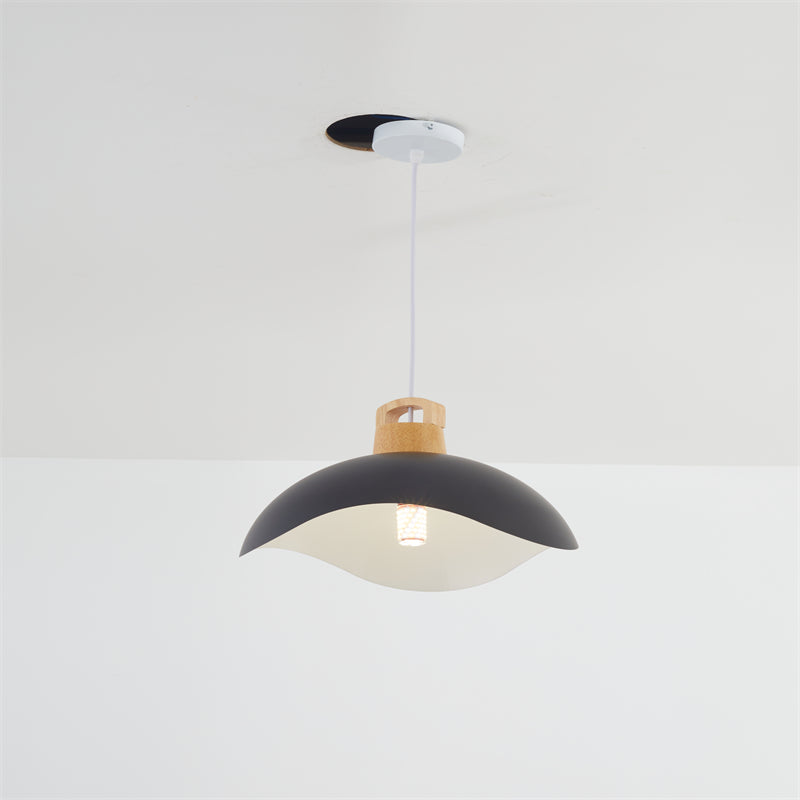 Noctara Vintage Pendant Light in Black Matte Metal - OpalDwell