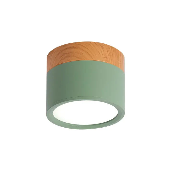 Lunara Nordic LED Ceiling Light for Hallways and Living - OpalDwell