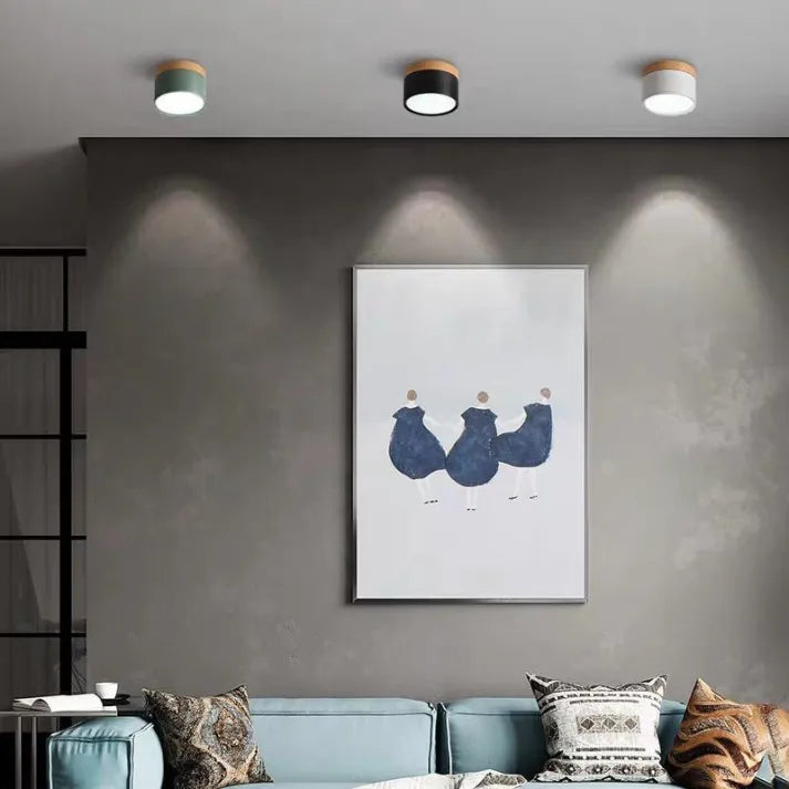 Lunara Nordic LED Ceiling Light for Hallways and Living - OpalDwell