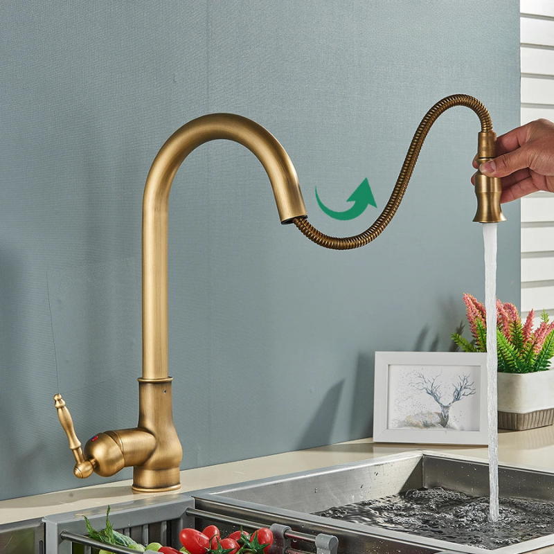 Norelle Antique Brass Swivel Kitchen Faucet With Black OpalDwell