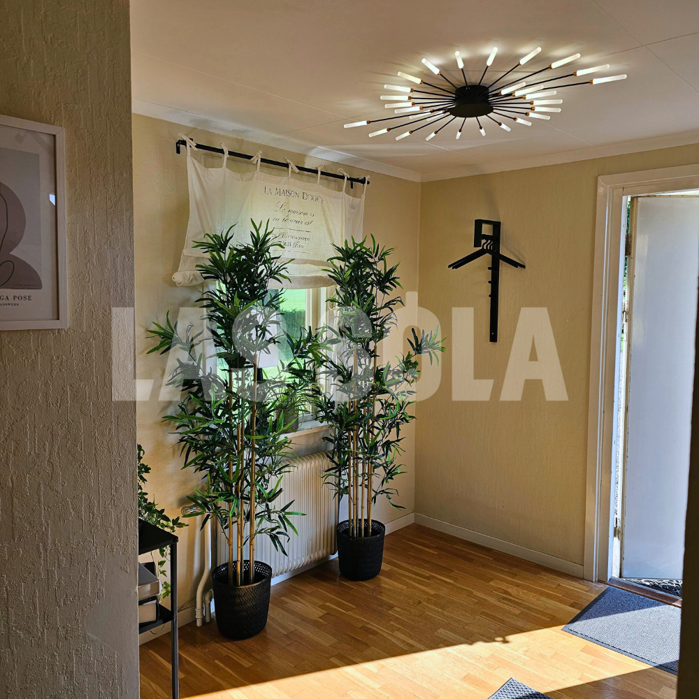 Asterra Modern Ceiling Lamp for Living Room and Bedroom OpalDwell