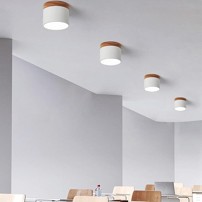 Lunara Nordic LED Ceiling Light for Hallways and Living - OpalDwell
