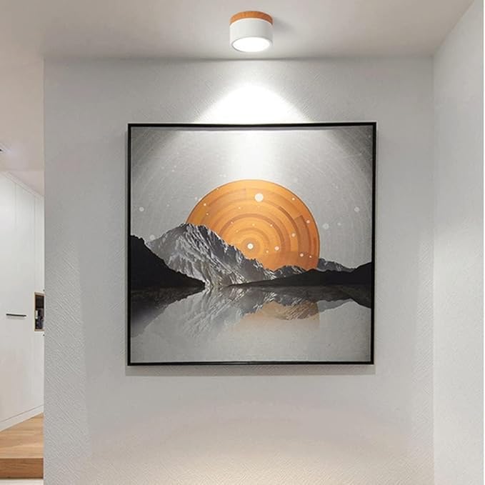 Lunara Nordic LED Ceiling Light for Hallways and Living - OpalDwell