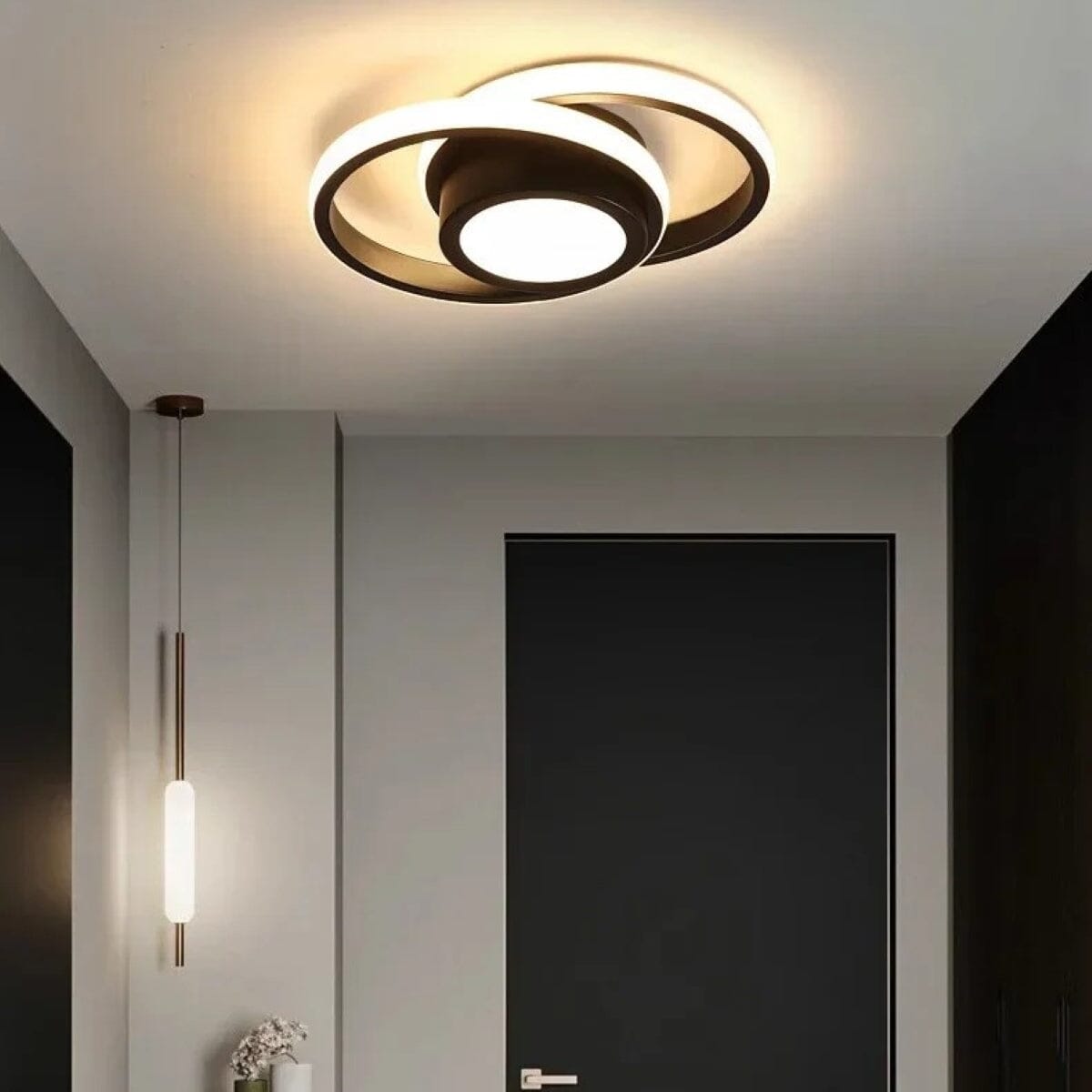 NovaGlow Elegant Modern Flush Mount Ceiling Light With Dual Color Options OpalDwell