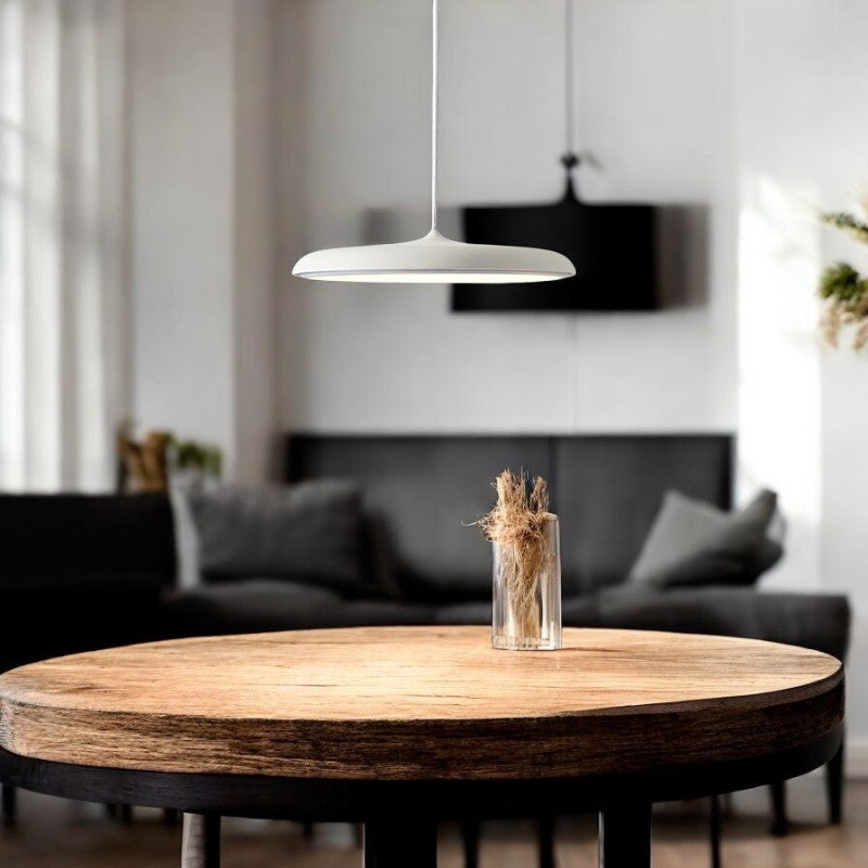 Norden Disc LED Pendant Light Scandinavian Minimal Lamp OpalDwell