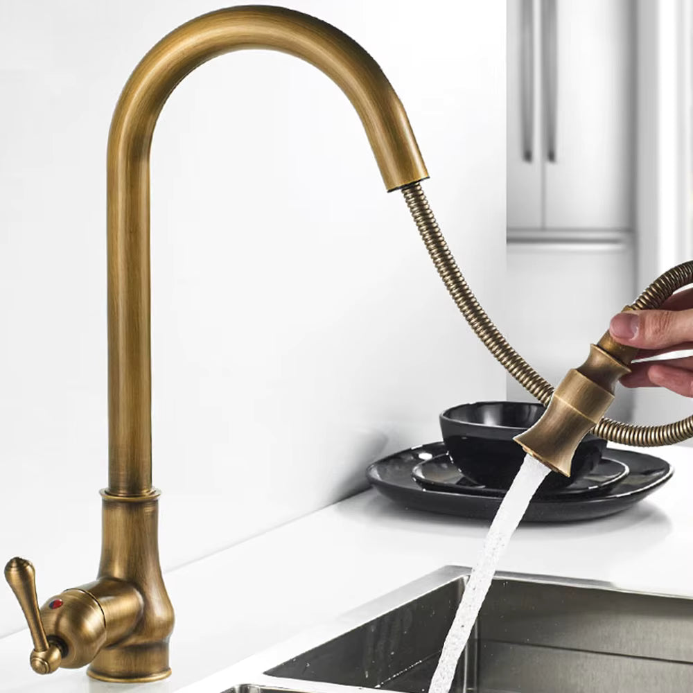 Norelle Antique Brass Swivel Kitchen Faucet With Black OpalDwell