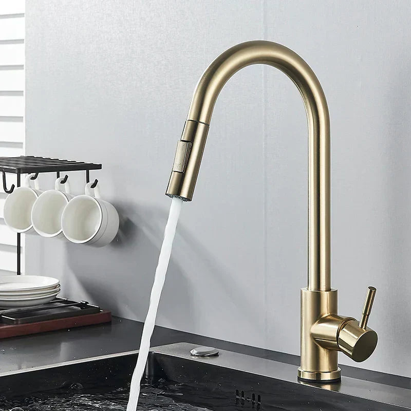 AeroFlow 360° Swivel Kitchen Faucet with Hot and Cold OpalDwell