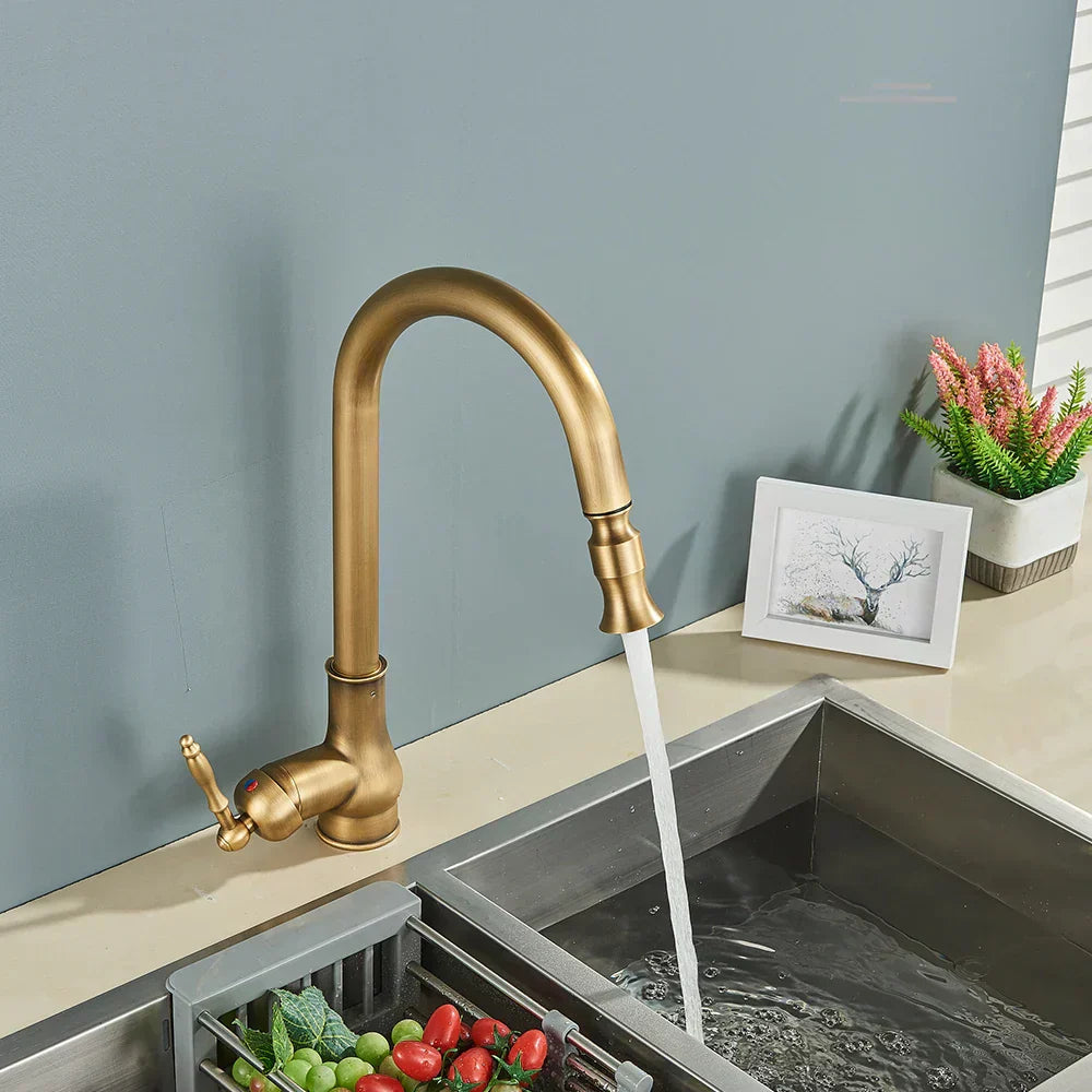 Norelle Antique Brass Swivel Kitchen Faucet With Black OpalDwell