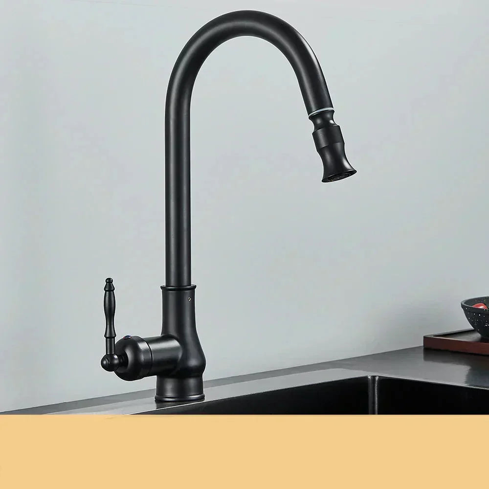 Norelle Antique Brass Swivel Kitchen Faucet With Black OpalDwell