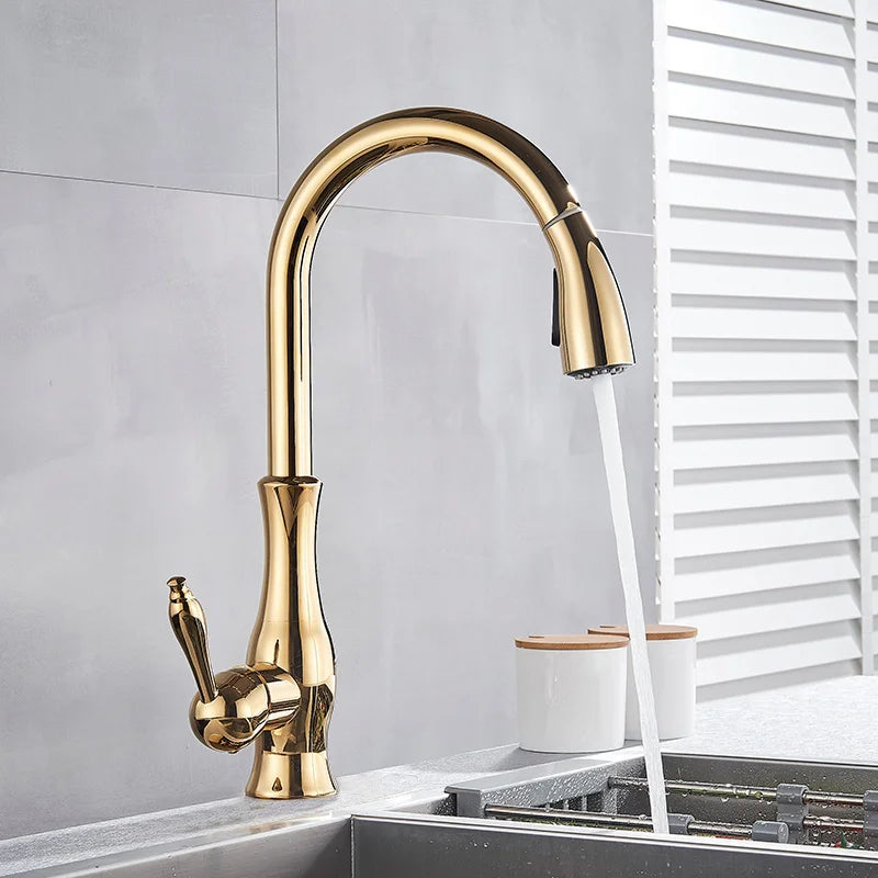 AureliaLux Gold Kitchen Faucet With Pull Out Spray And Swivel Spout OpalDwell