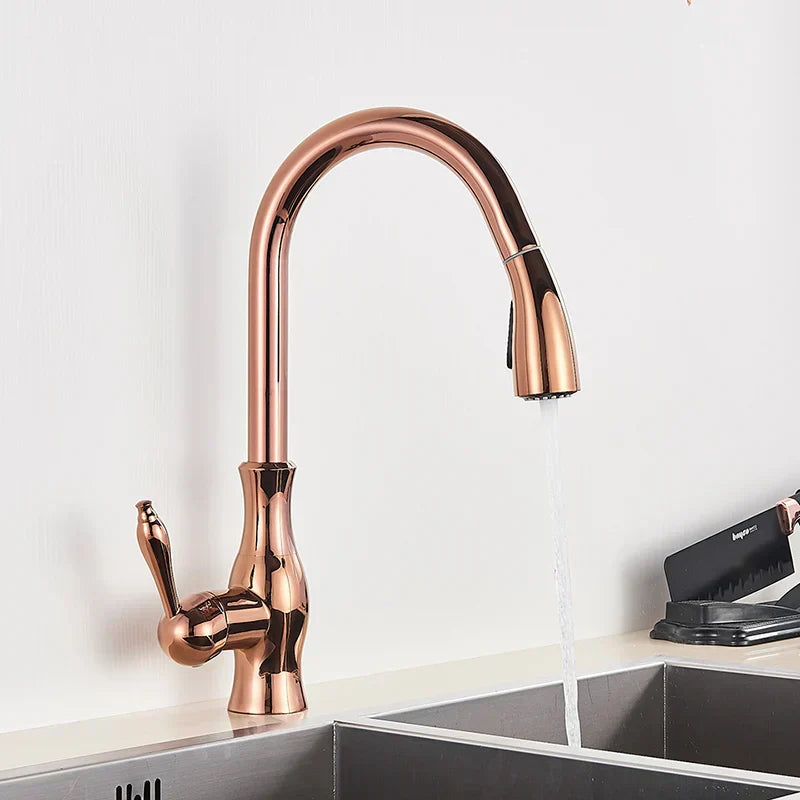 AureliaLux Gold Kitchen Faucet With Pull Out Spray And Swivel Spout OpalDwell