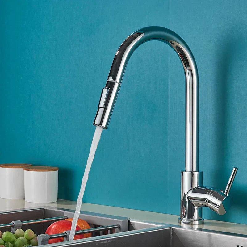 AeroFlow 360° Swivel Kitchen Faucet with Hot and Cold OpalDwell