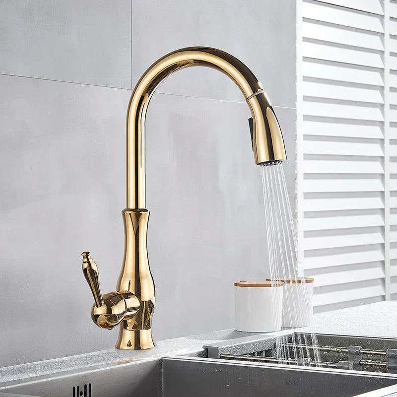 LumaGleam Gold Kitchen Faucet With Pull Out Sprayer OpalDwell