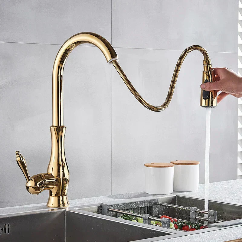 AureliaLux Gold Kitchen Faucet With Pull Out Spray And Swivel Spout OpalDwell