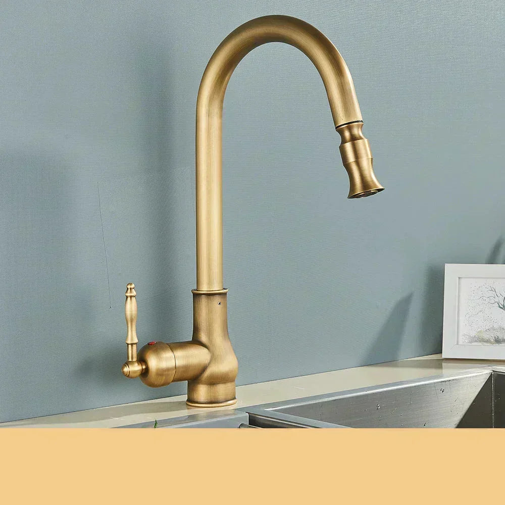 AstraNova Vintage Brass Kitchen Faucet With Swivel Spout And Black Accent OpalDwell