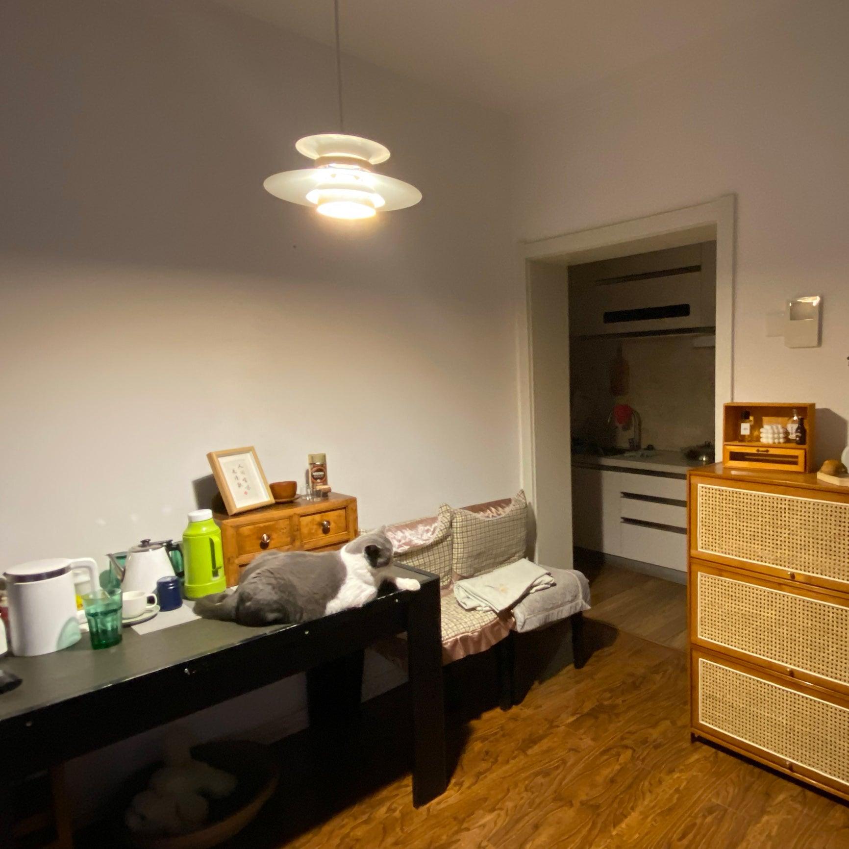 Aurellon | Elegant Pendant Lamp For Timeless Interiors OpalDwell