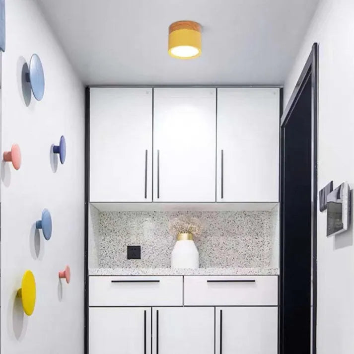 Lunara Nordic LED Ceiling Light for Hallways and Living - OpalDwell