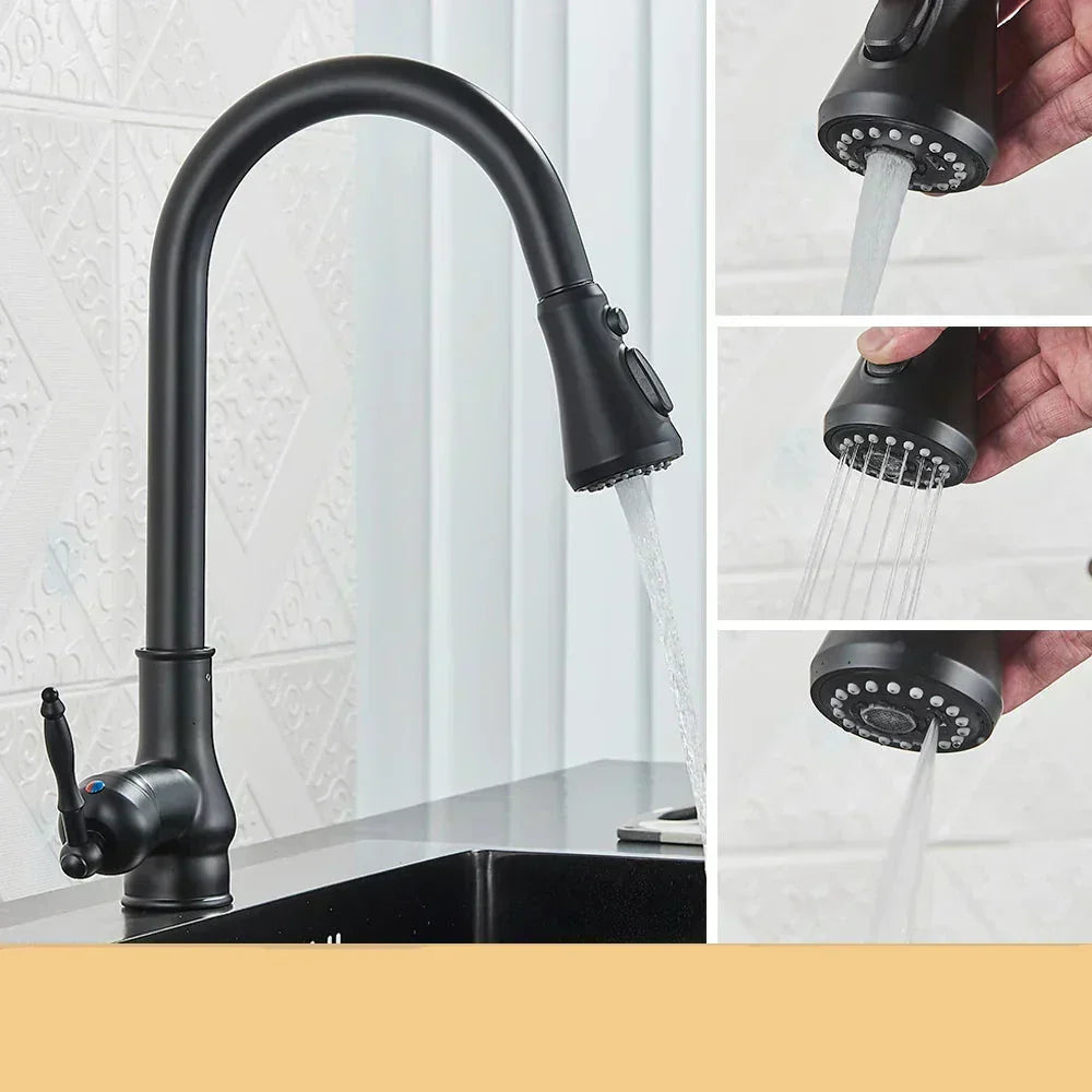 Norelle Antique Brass Swivel Kitchen Faucet With Black OpalDwell
