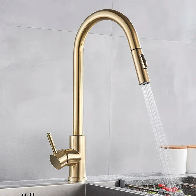 AeroFlow 360° Swivel Kitchen Faucet with Hot and Cold OpalDwell