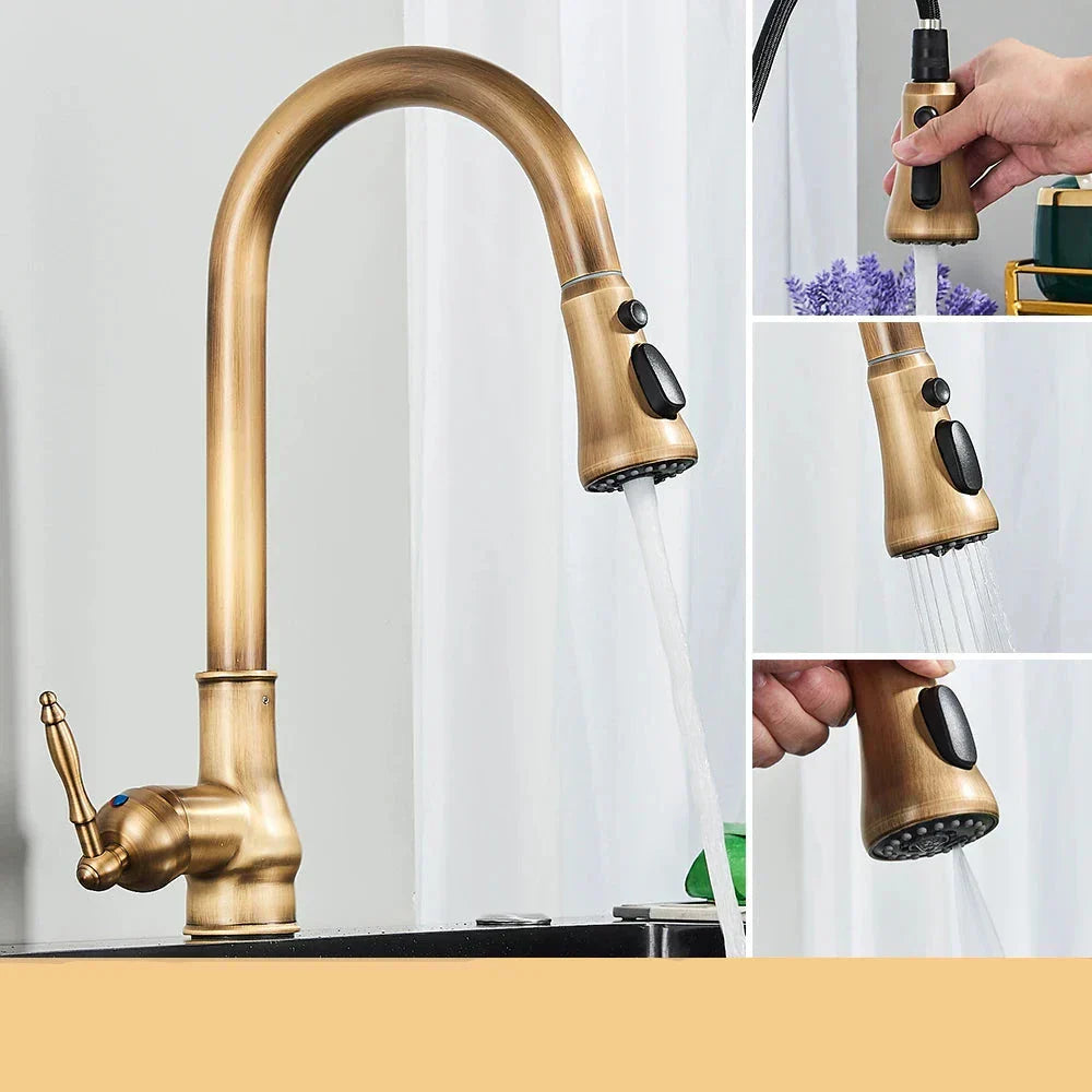 AstraNova Vintage Brass Kitchen Faucet With Swivel Spout And Black Accent OpalDwell