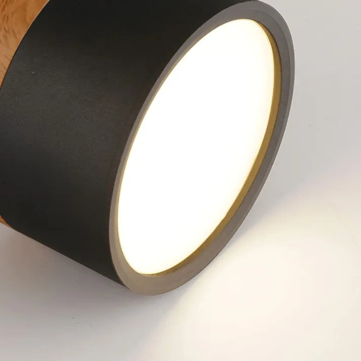 Lunara Nordic LED Ceiling Light for Hallways and Living - OpalDwell