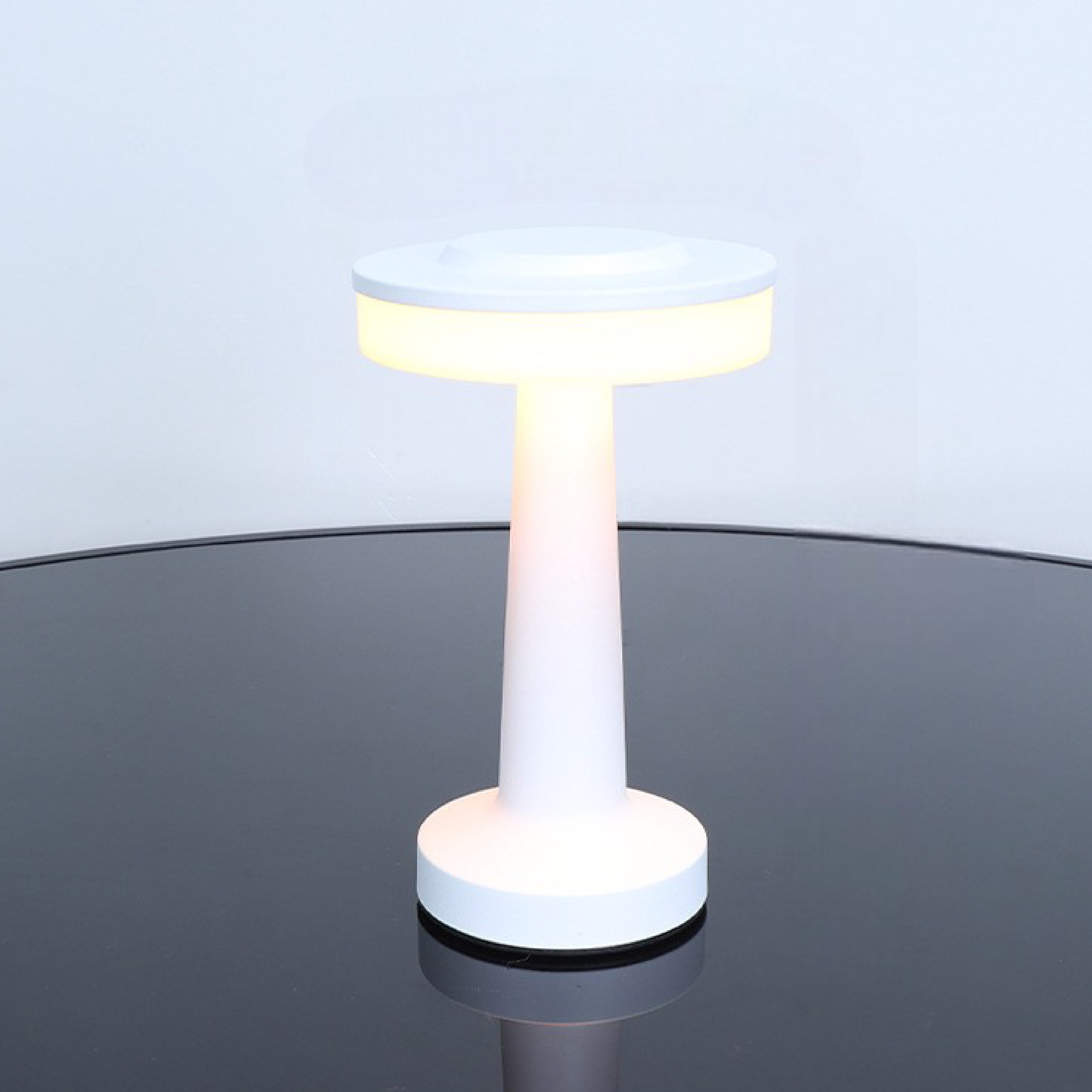 Contemporary Metal Table Lamp, Elegant Decorative Lighting - OpalDwell