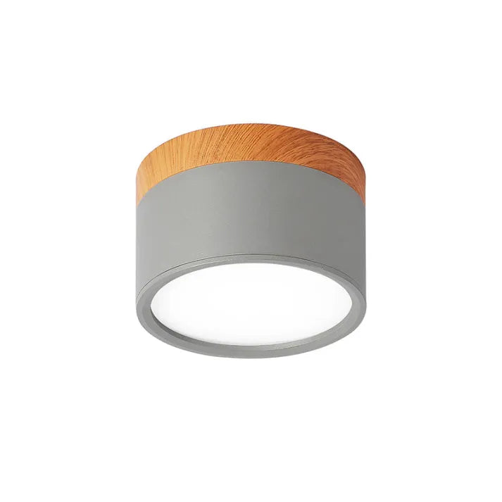 Lunara Nordic LED Ceiling Light for Hallways and Living - OpalDwell