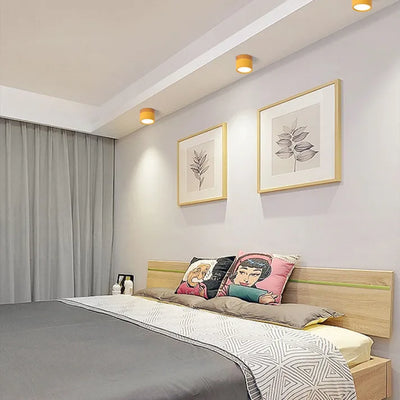 Lunara Nordic LED Ceiling Light for Hallways and Living - OpalDwell