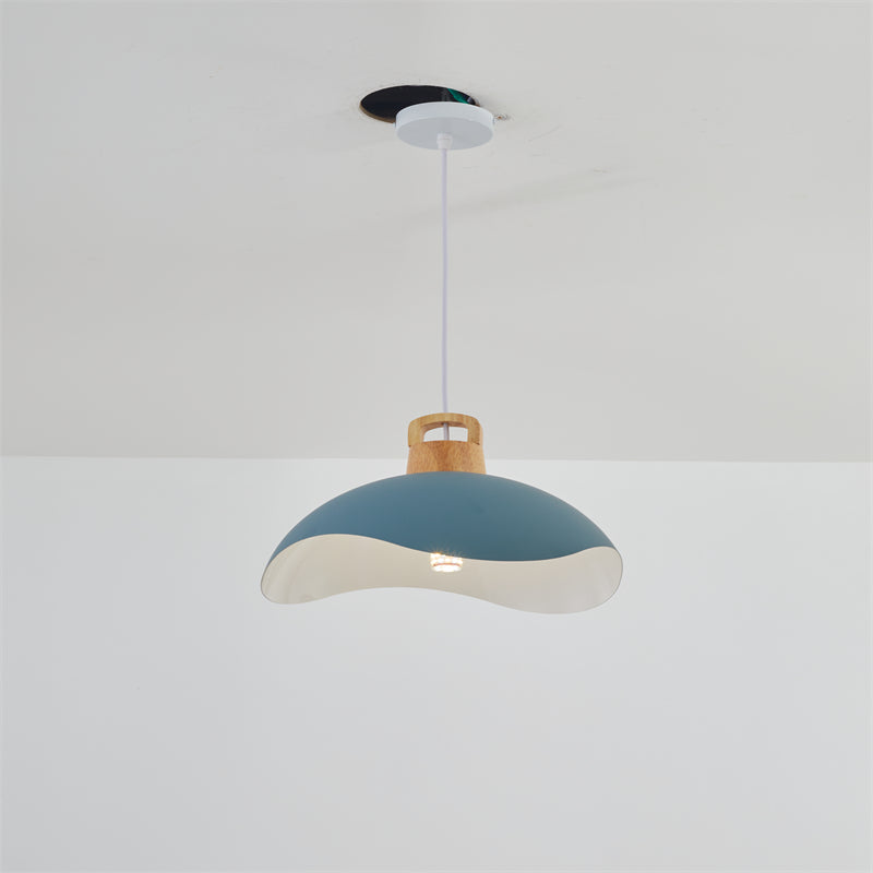 Noctara Vintage Pendant Light in Black Matte Metal - OpalDwell