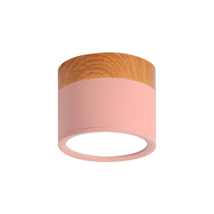 Lunara Nordic LED Ceiling Light for Hallways and Living - OpalDwell