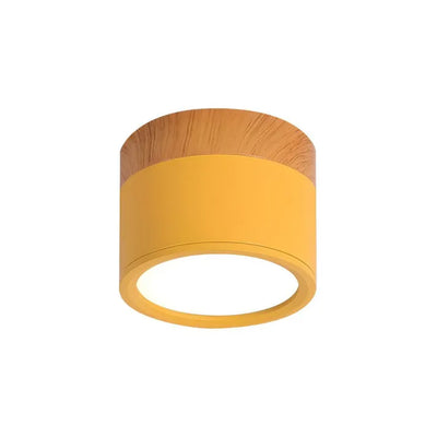 Lunara Nordic LED Ceiling Light for Hallways and Living - OpalDwell