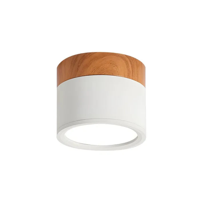 Lunara Nordic LED Ceiling Light for Hallways and Living - OpalDwell