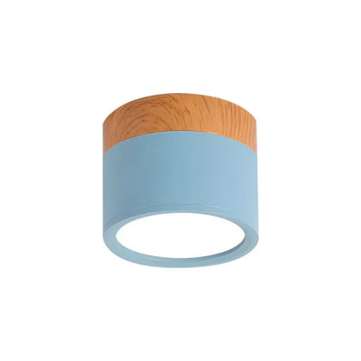 Lunara Nordic LED Ceiling Light for Hallways and Living - OpalDwell