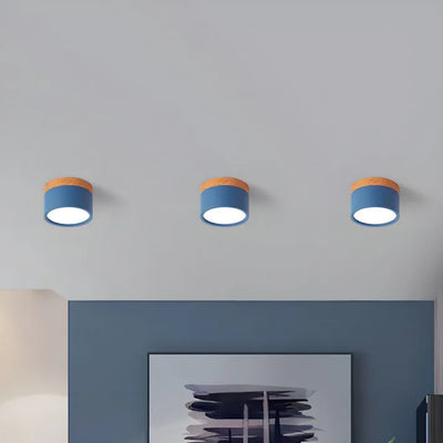 Lunara Nordic LED Ceiling Light for Hallways and Living - OpalDwell