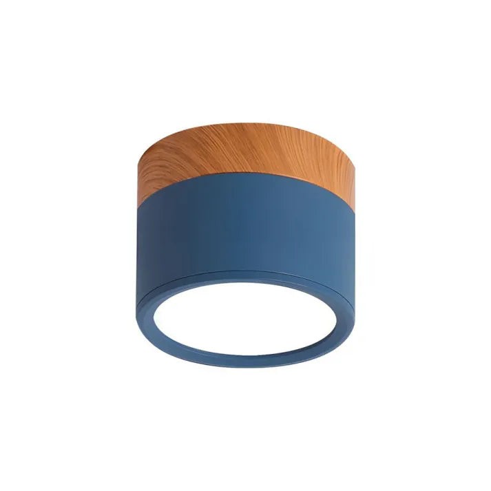 Lunara Nordic LED Ceiling Light for Hallways and Living - OpalDwell