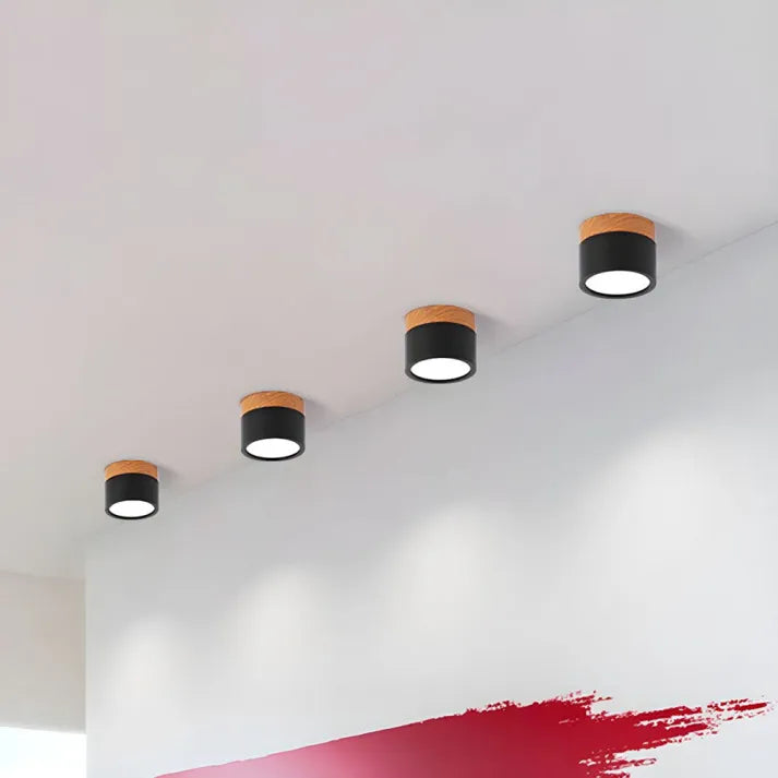 Lunara Nordic LED Ceiling Light for Hallways and Living - OpalDwell