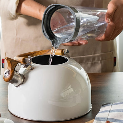 AuricKettle 3L Whistling Kettle With Wooden Handle - OpalDwell