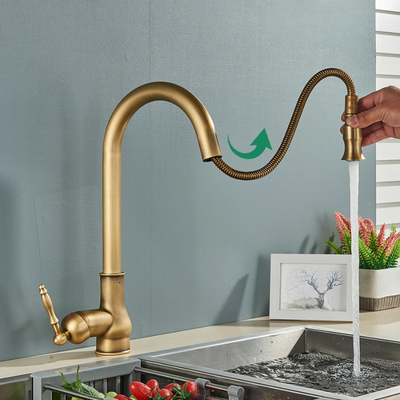 AstraNova Vintage Brass Kitchen Faucet With Swivel Spout And Black Accent OpalDwell