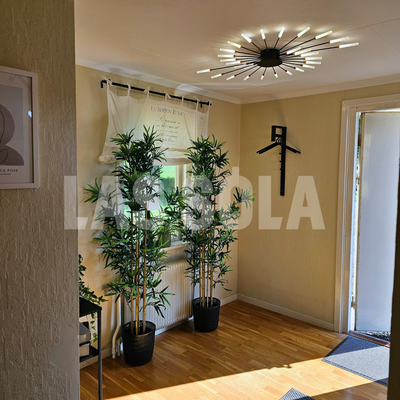 Asterra Modern Ceiling Lamp for Living Room and Bedroom OpalDwell