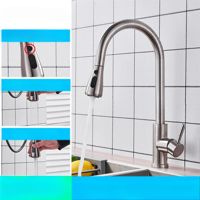 AeroFlex Kitchen Faucet with Flexible Spout Brushed Nickel OpalDwell