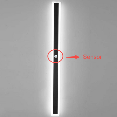 Frostline Linear Outdoor Wall Lamp with Acrylic Pane - OpalDwell