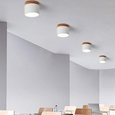 Lunara Nordic LED Ceiling Light for Hallways and Living - OpalDwell