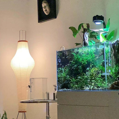 Kazumi Rice Paper Floor Lamp by OpalDwell Soft Ambient Glow OpalDwell