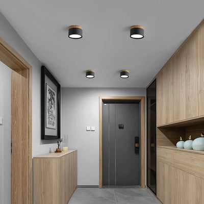 Lunara Nordic LED Ceiling Light for Hallways and Living - OpalDwell
