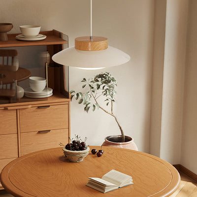 Aurora Rice Bowl Pendant Light for Cozy Dining Rooms - OpalDwell