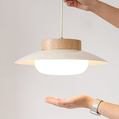 Aurora Rice Bowl Pendant Light for Cozy Dining Rooms - OpalDwell