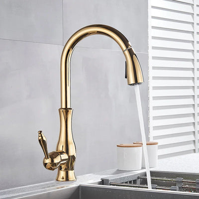 LumaGleam Gold Kitchen Faucet With Pull Out Sprayer OpalDwell