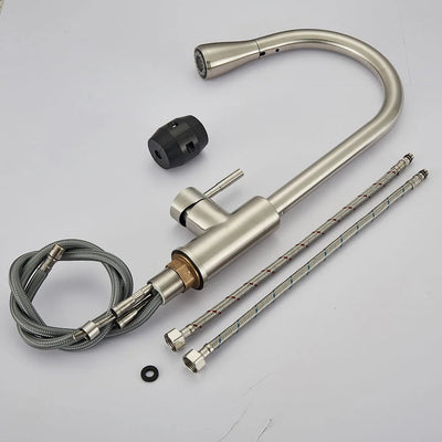 AeroFlex Kitchen Faucet with Flexible Spout Brushed Nickel OpalDwell
