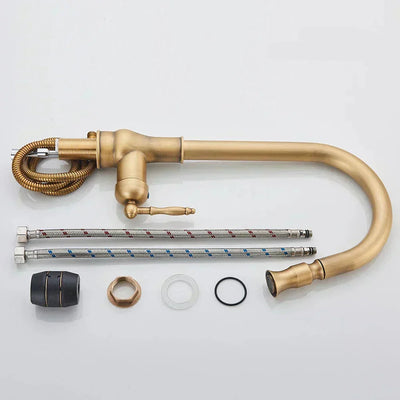 AstraNova Vintage Brass Kitchen Faucet With Swivel Spout And Black Accent OpalDwell